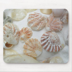 Kitten's Paw Seashells Mouse Pad