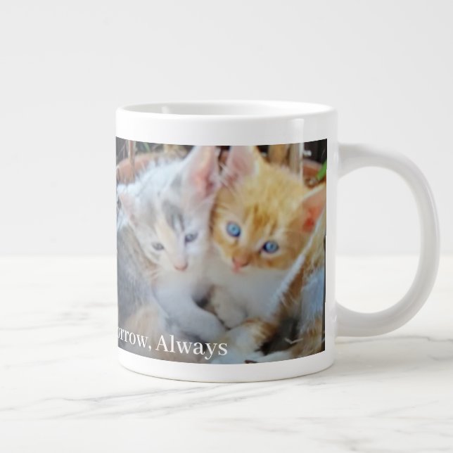  Kittens Photo Quote Large Coffee Mug (Right)