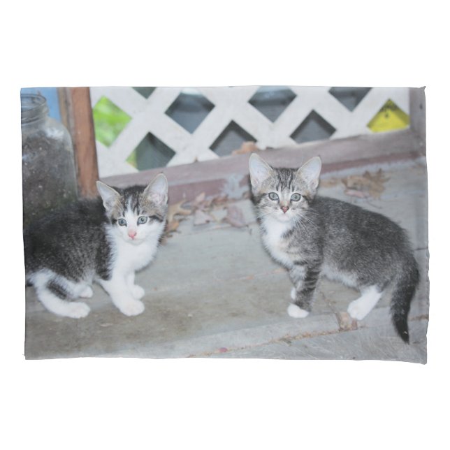Kittens Pillowcase (Front)