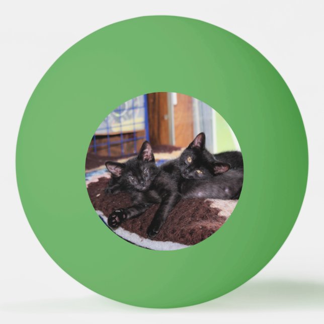 Kittens   ping pong ball (Front)