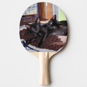 Kittens ping pong paddle