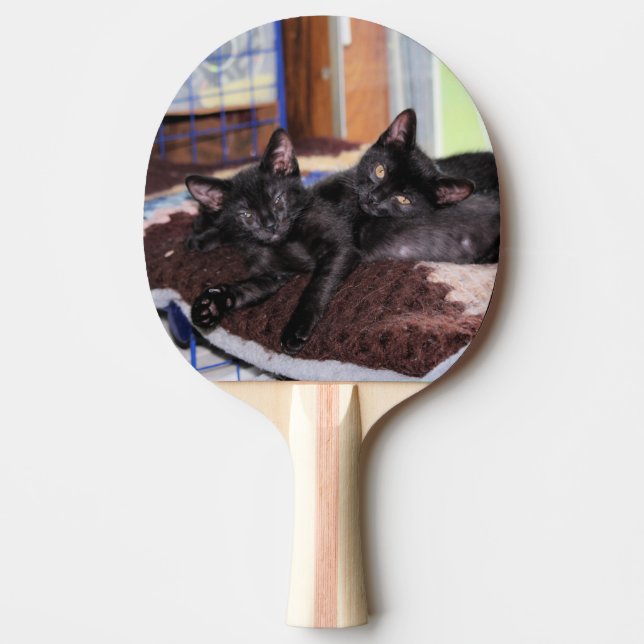 Kittens   ping pong paddle (Front)