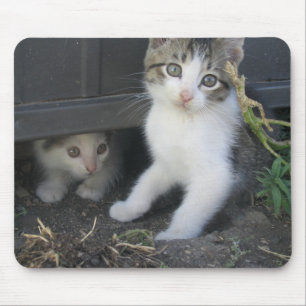 Kittens Playing on the Farm Mousepad