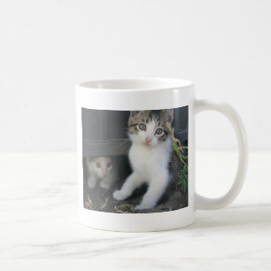 Kittens Playing on the Farm Mug