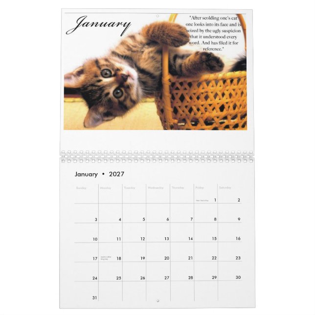 Kittens & Quotes 2009 Calender Calendar (Jan 2027)