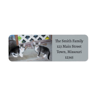 Kittens Return Address Label