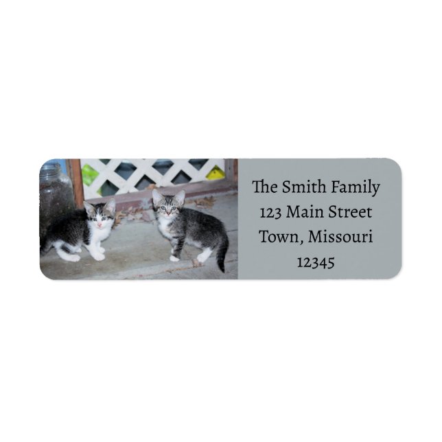 Kittens Return Address Label (Front)
