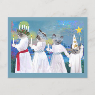 Kittens' Santa Lucia Procession Postcard