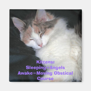 Kittens:Sleeping=AngelsAwake=Moving Obstical Co... Magnet