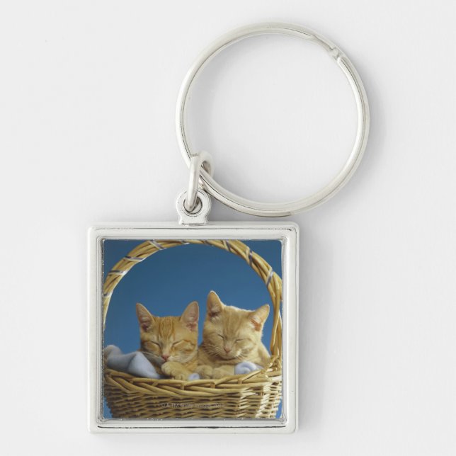 Kittens sleeping in basket key ring (Front)