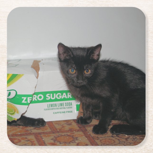 Kittens Square Paper Coaster (Front)