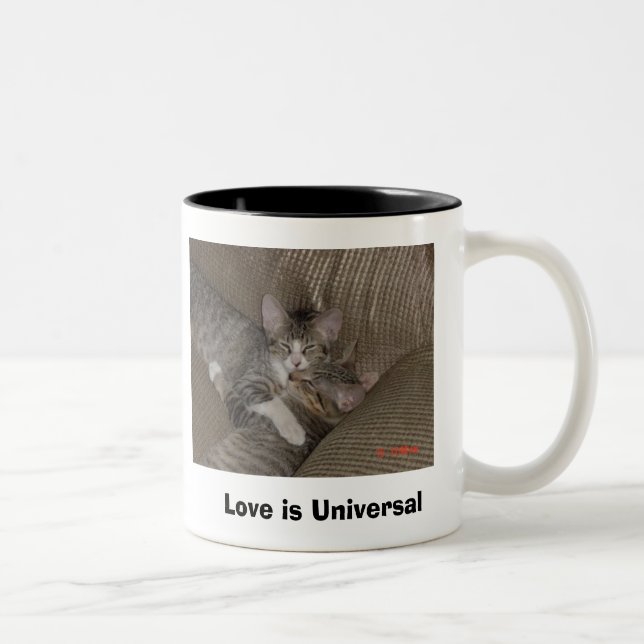 Kittens Two-Tone Coffee Mug (Right)