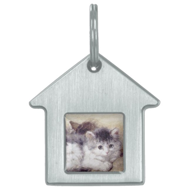 KITTENS Waking up Pet Name Tag (Front)