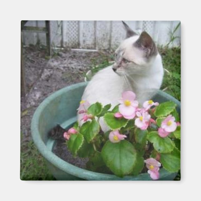 Kittie and Flower Pot Magnet (Front)