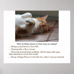 Kitties dream of Poster or Print
