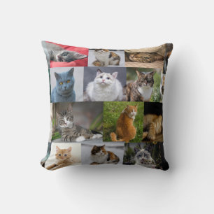 Kitties Everywhere Cushion