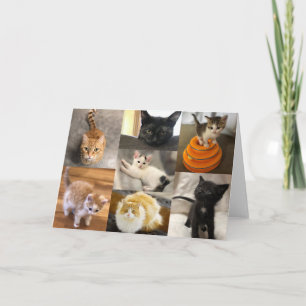 Kitties of Twin Counties  Card