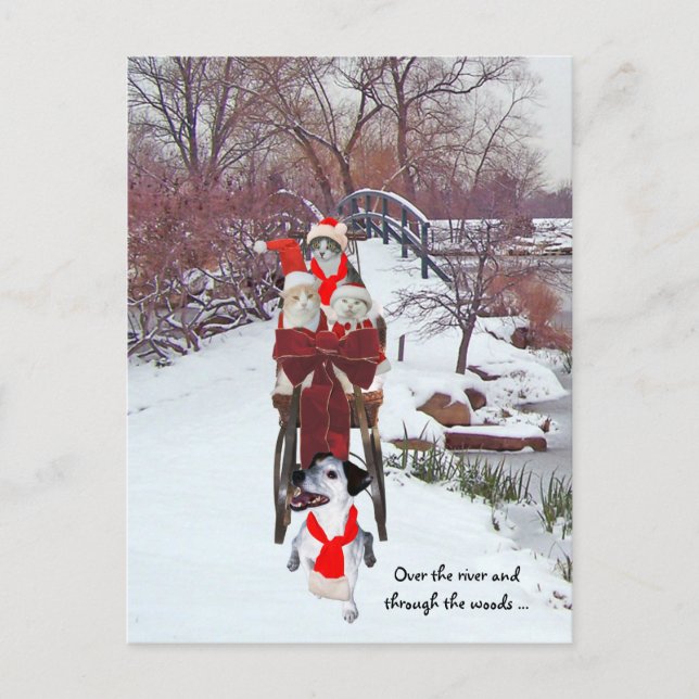 Kitties' Sleigh Ride Postcard (Front)