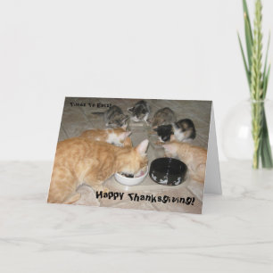 Kitties Thanksgiving! Holiday Card