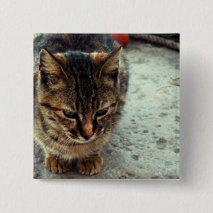 Kitty 15 Cm Square Badge