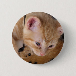 KITTY 6 CM ROUND BADGE