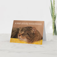Kitty Advice Inspirational Get Well