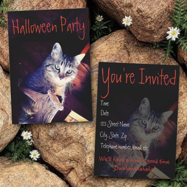 Kitty Aglow Close Up Photograph Invitation (Halloween party invitation template front and back)