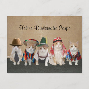 Kitty Ambassadors Postcard