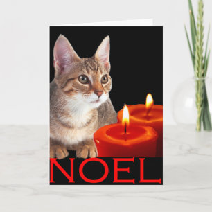 Kitty and candles holiday card