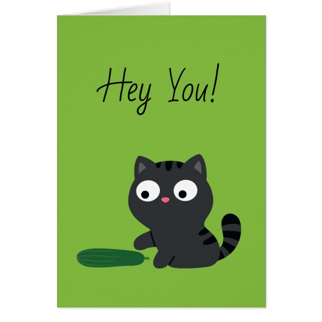 Kitty and Cucumber Illustration (Front)