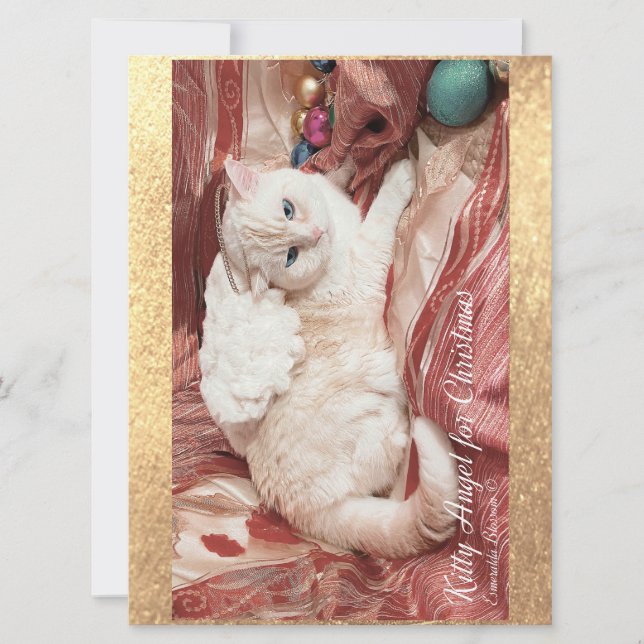 Kitty Angel for Christmas (Front)