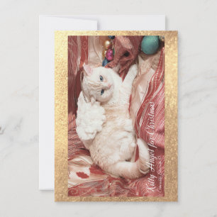 Kitty Angel for Christmas Card