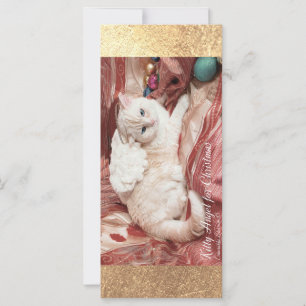 Kitty Angel for Christmas Card