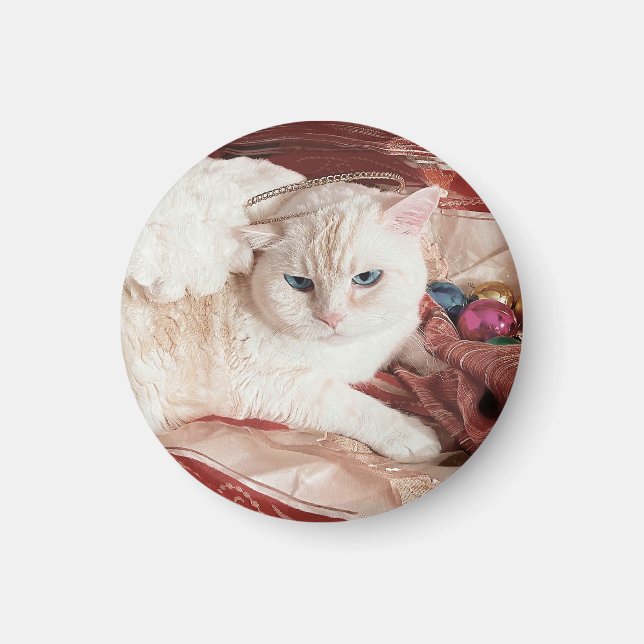 Kitty Angel for Christmas Magnet (Front)
