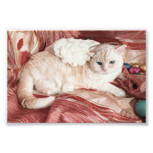 Kitty Angel Photo Print