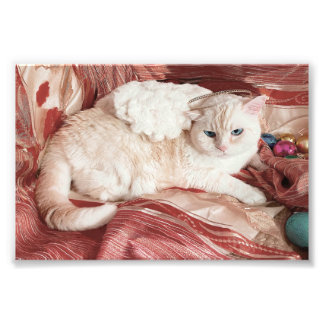 Kitty Angel Photo Print