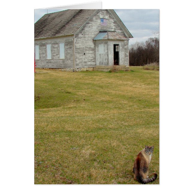 Kitty at the School (Front)