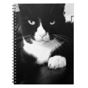 Kitty Bad Attitude - Impress Me - Notebook