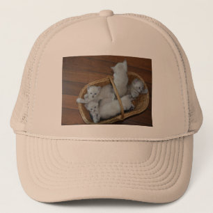 Kitty Ball Cap