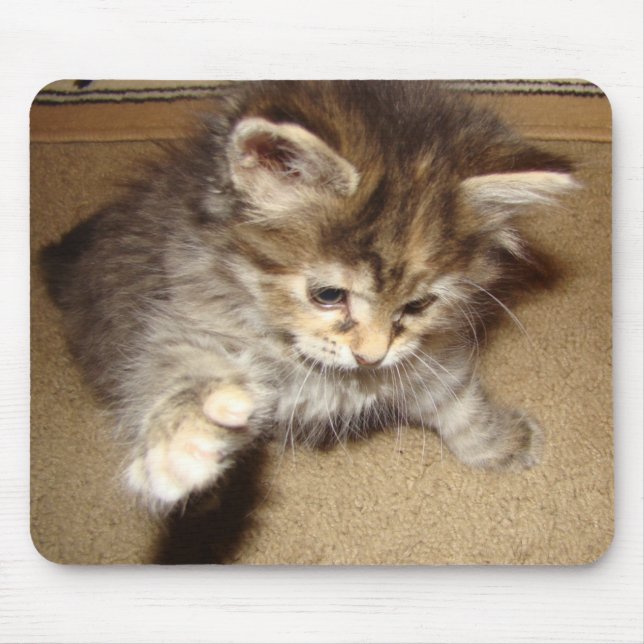 Kitty batting at the mouse pad (Front)