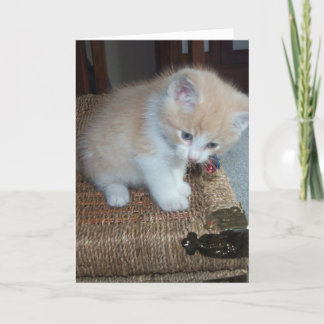 Kitty Birthday Card