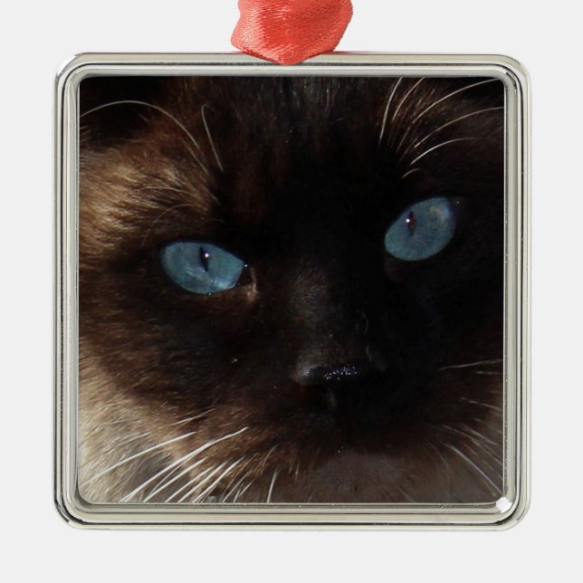 Kitty Blue Eyes Metal Tree Decoration (Front)