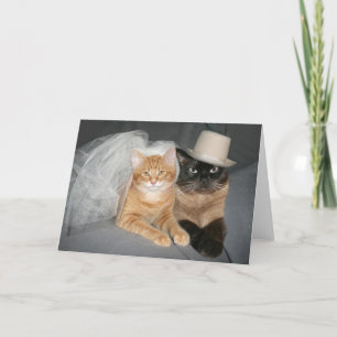 Kitty bride and groom card