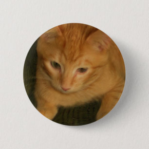 Kitty Button