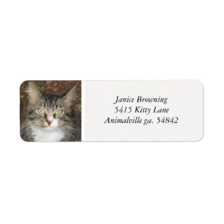 Kitty Cat Address Label Return Address Label