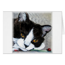 Kitty cat and ladybug blank greeting card