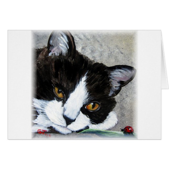 Kitty cat and ladybug blank greeting card (Front Horizontal)