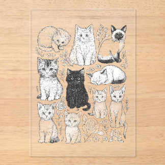 kitty,cat,animal,cute,playful,hand-drawn,artistic acrylic invitations