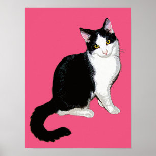 Kitty Cat, Black and White on Hot Pink Poster