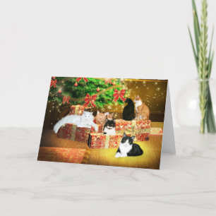 Kitty cat Christmas Holiday Card